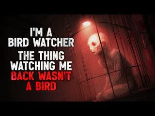 "I’m a Bird Watcher. But the Thing Watching Me Back in the Trees Wasn’t a Bird." Creepypasta